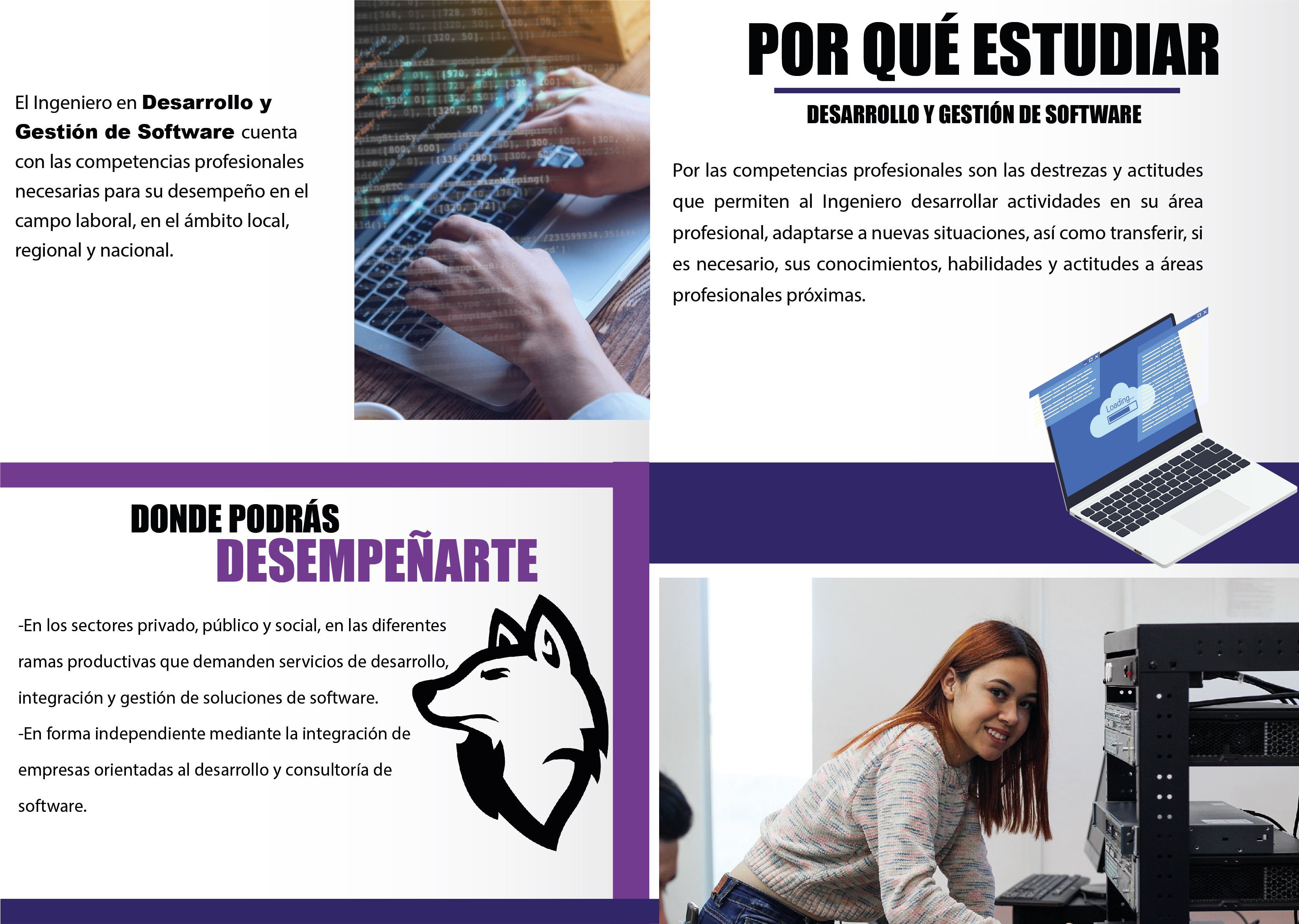 Desarrollo y Gestión de Software